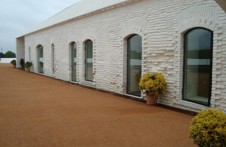   Casa Museo "dos Patudos"